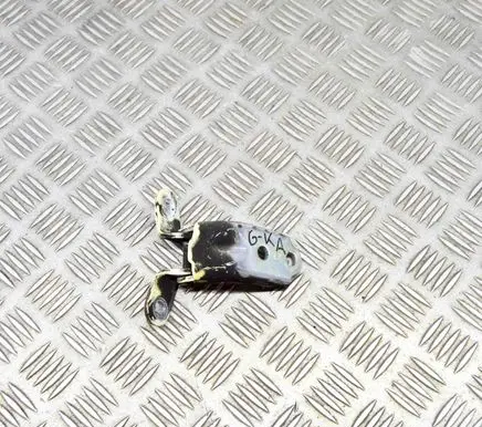 KIA Sportage Rear door lower hinge