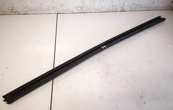 Citroen C5 Front door glass trim molding