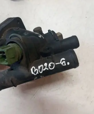 Thermostat/thermostat housing
