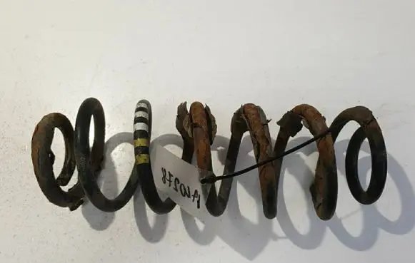 Rear coil spring