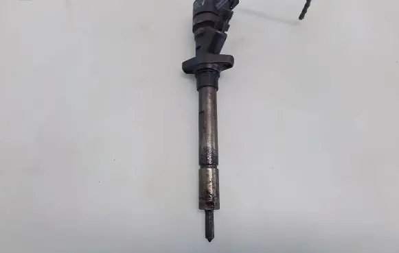 Citroen C8 Fuel injector 0445110036