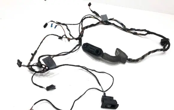 Front door wiring loom