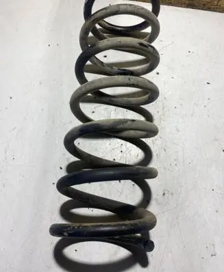 Rear coil spring
