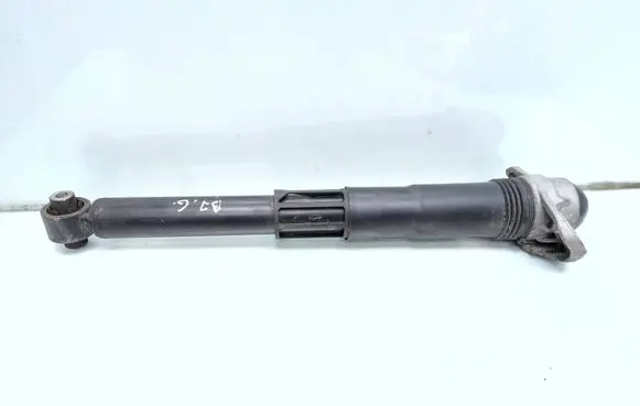 Cupra Born Rear shock absorber/damper 1EA512011AL 1EA513425B