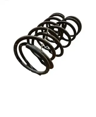 Rear coil spring
