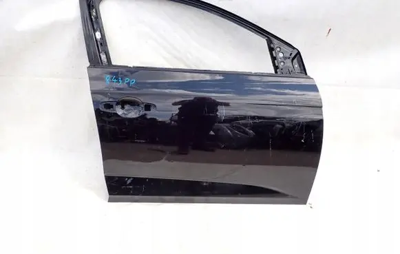 Renault Megane IV Front door