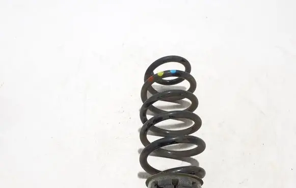 Rear coil spring