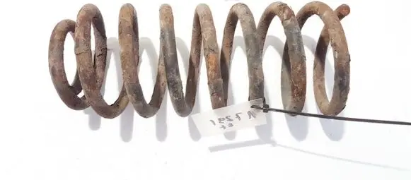 Volkswagen New Beetle Rear coil spring
