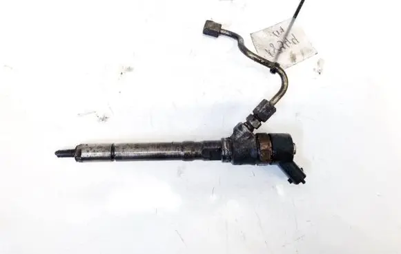 Hyundai Santa Fe Fuel injector 0445110064 3380027010