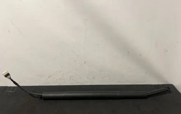Tailgate strut