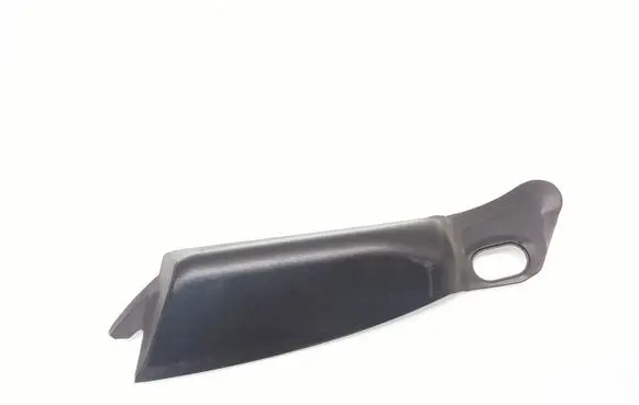Rear/tail light trim molding
