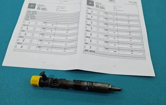 Renault Megane II Fuel injector EJBR05102D IMPRK1439386