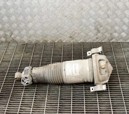 Audi Q7 4L Rear shock absorber/damper 7L8616019F