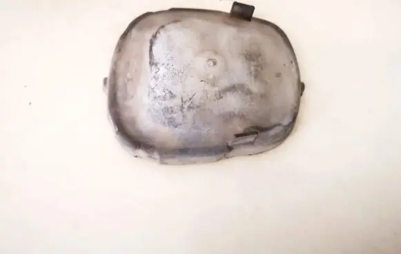 Dodge Caravan Headlight/headlamp dust cover