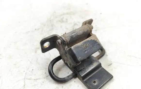 Rear door lower hinge