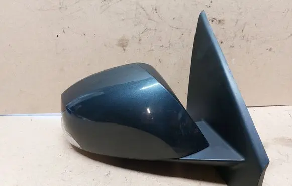 Renault Laguna III Front door electric wing mirror 