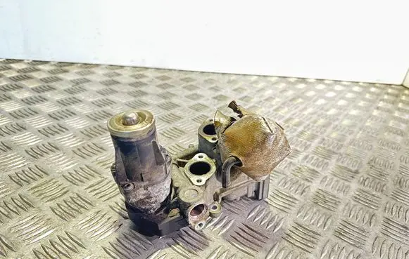 Skoda Octavia Mk2 (1Z) EGR valve 11725505 0280751016