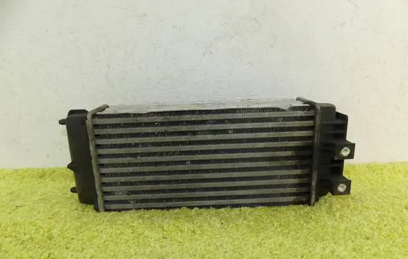 Citroen DS5 Intercooler radiator 9800291280