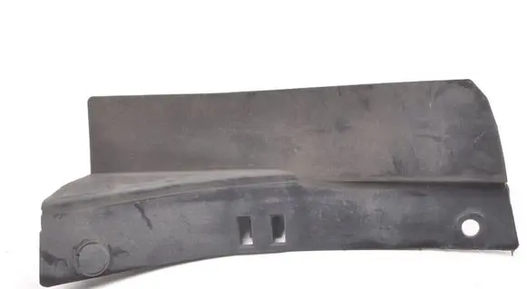 Ford Mustang Mach-E Front mudguard LJ8B-R025B47-AB