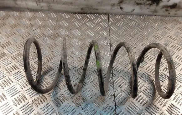 Peugeot 407 Front coil spring