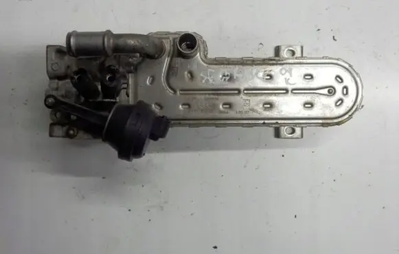 Chrysler Sebring (ST-22 - JR) EGR valve 1C3A4C6A88N136843