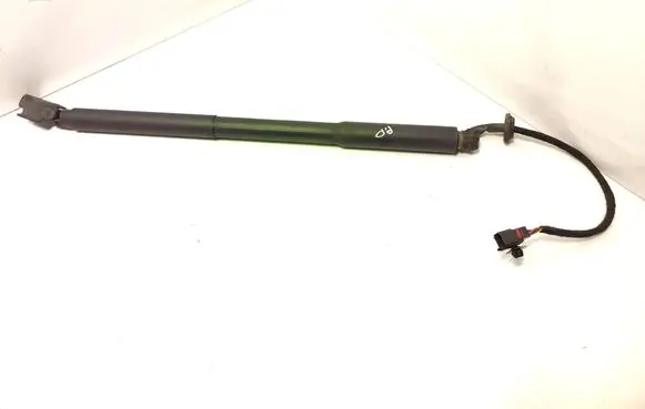 Tailgate/trunk strut/damper