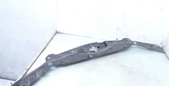 Engine bonnet/hood lock trim molding