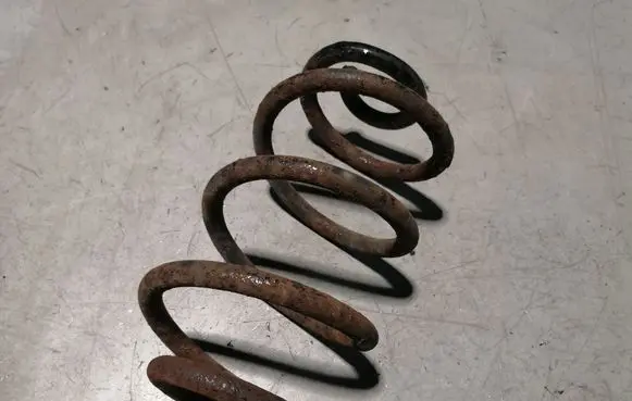 Rear coil spring