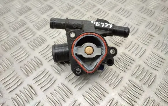 Thermostat/thermostat housing
