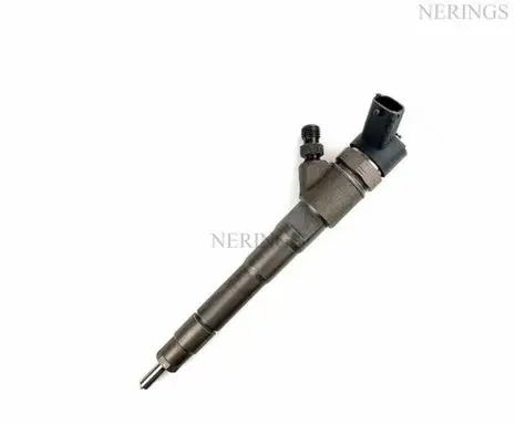 Iveco Daily 4th gen Fuel injector 0445110418