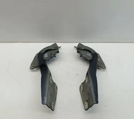 Renault Megane III Engine bonnet/hood hinges 654000003R