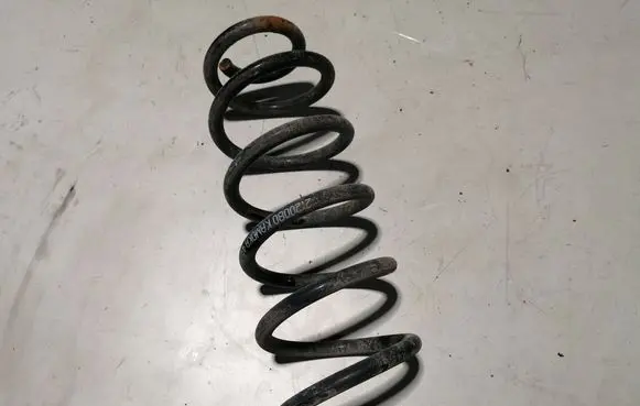 Rear coil spring
