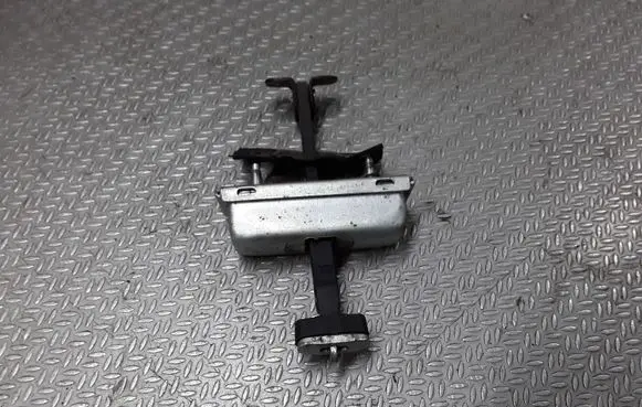 Land Rover Range Rover Sport L320 Front door check strap stopper 047BMM2E