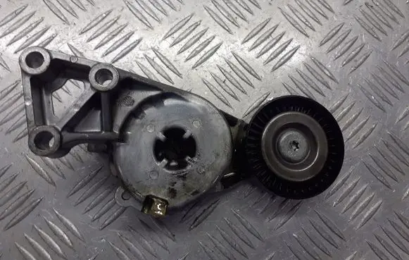 Seat Toledo II (1M) Alternator belt tensioner pulley 