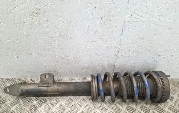 Chrysler 300 - 300C Front shock absorber with coil spring 4782994AD 04895412AC 99201E