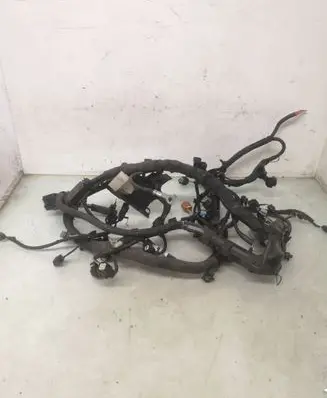 Engine installation wiring loom