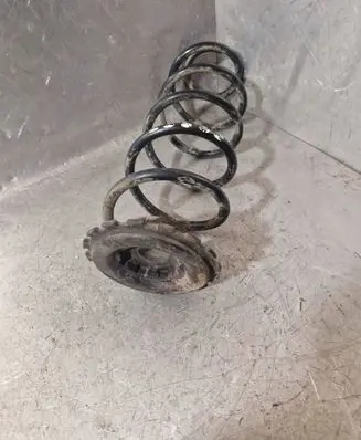 Rear coil spring