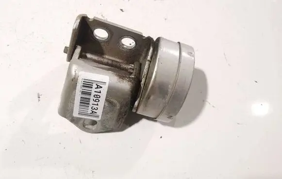 Renault Scenic II - Grand scenic II Rear door lower hinge 