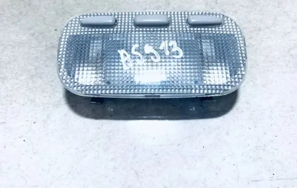 Peugeot 407 Front seat light