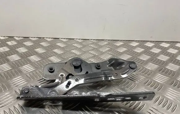 Ford C-MAX II Engine bonnet/hood hinges 