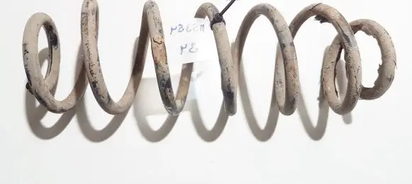Volkswagen Golf IV Rear coil spring