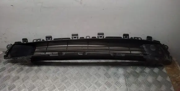 Front bumper lower grill
