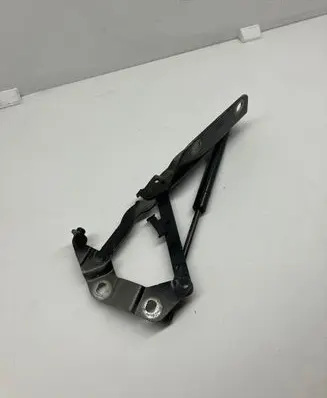 Land Rover Evoque I Engine bonnet/hood hinges 6H5216800AC
