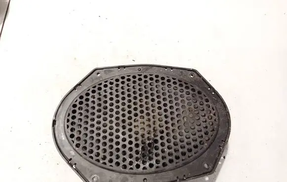 Front door speaker