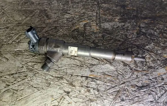 Dacia Dokker Fuel injector 0445110485 H8201108033