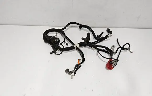 Engine installation wiring loom
