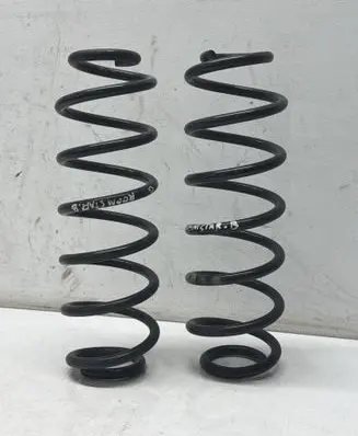 Skoda Roomster (5J) Rear coil spring 