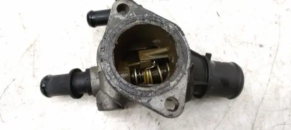 Thermostat/thermostat housing