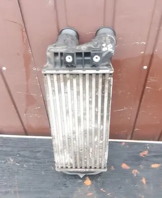Peugeot 508 Intercooler radiator 9800291280