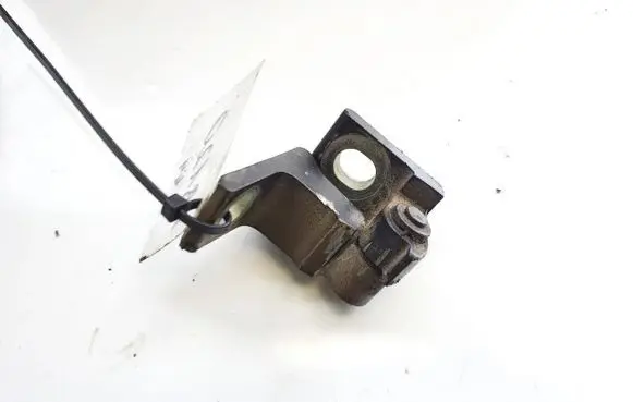 Skoda Superb B6 (3T) Rear door lower hinge 5n0831401